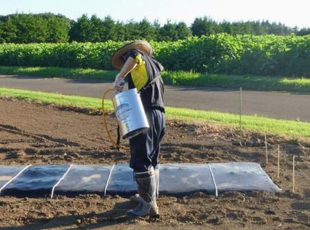  Appleが一晩で予約販売記録を樹立、iPhone 6と6 Plusへの「信じられないほど」の反応