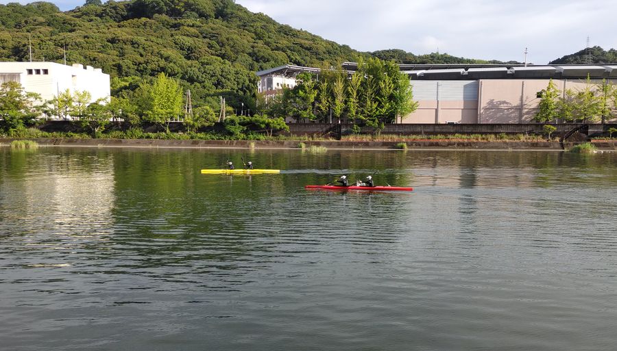 現在の鏡川。水泳の代わりに高校生たちがボートの練習をする