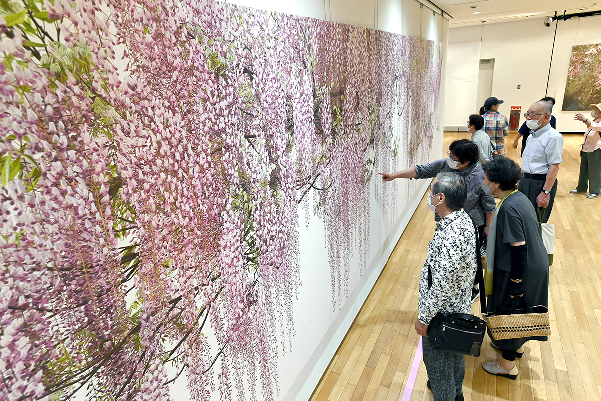 緻密な鉛筆画、圧倒的 吉村芳生回顧展「超絶技巧を超えて」が開幕 8