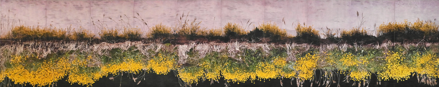 超絶技巧の先へ 吉村芳生の鉛筆画 初期から絶筆まで320点展示 高知