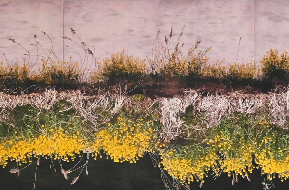 超絶技巧の先へ 吉村芳生の鉛筆画 初期から絶筆まで320点展示 高知