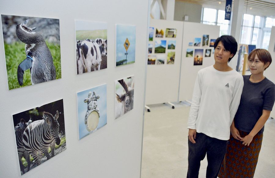 県内の自然や動物を写した作品が並ぶ写真展（土佐市の「つなーで」）