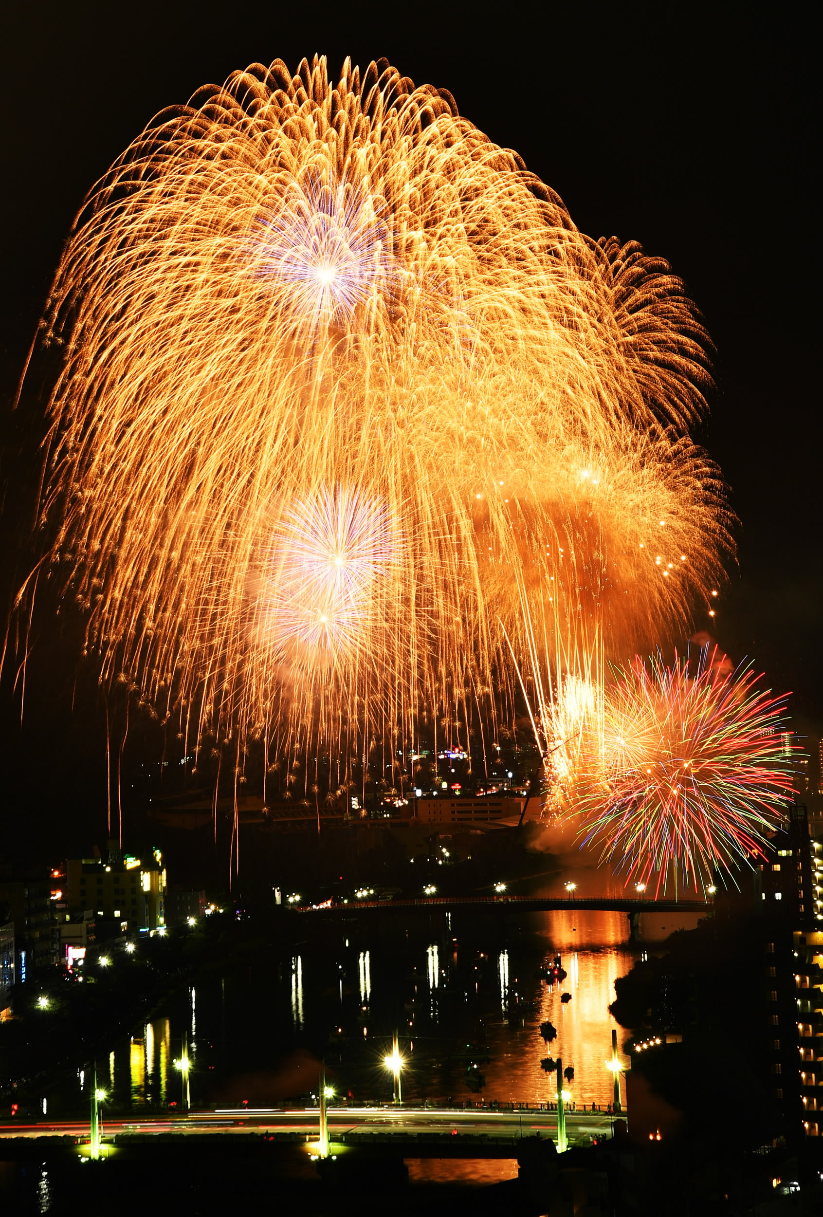 動画】県都の夜に大輪咲く 高知市納涼花火大会 | 高知新聞