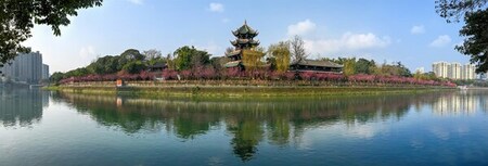 世界中のアスリートから人気を集める成都市武侯区 | 高知新聞