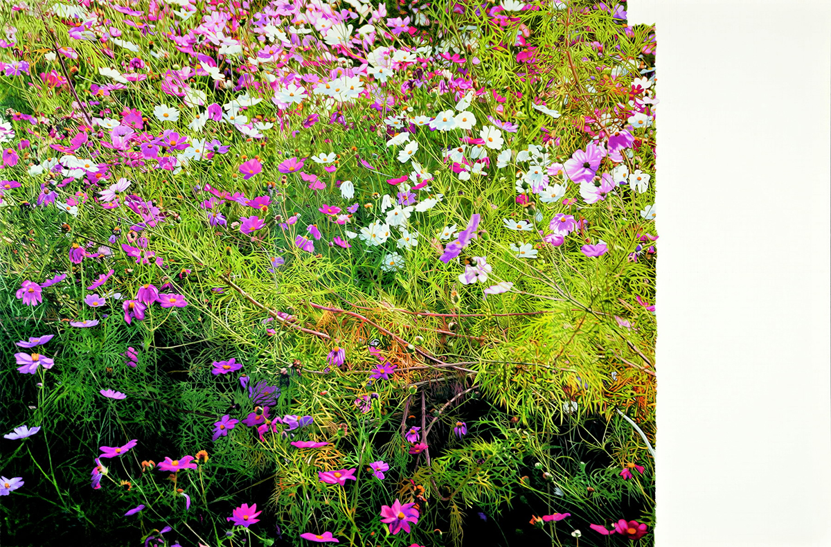 技法伝わる未完の作《コスモス（絶筆）》―「超絶技巧を超えて吉村芳生