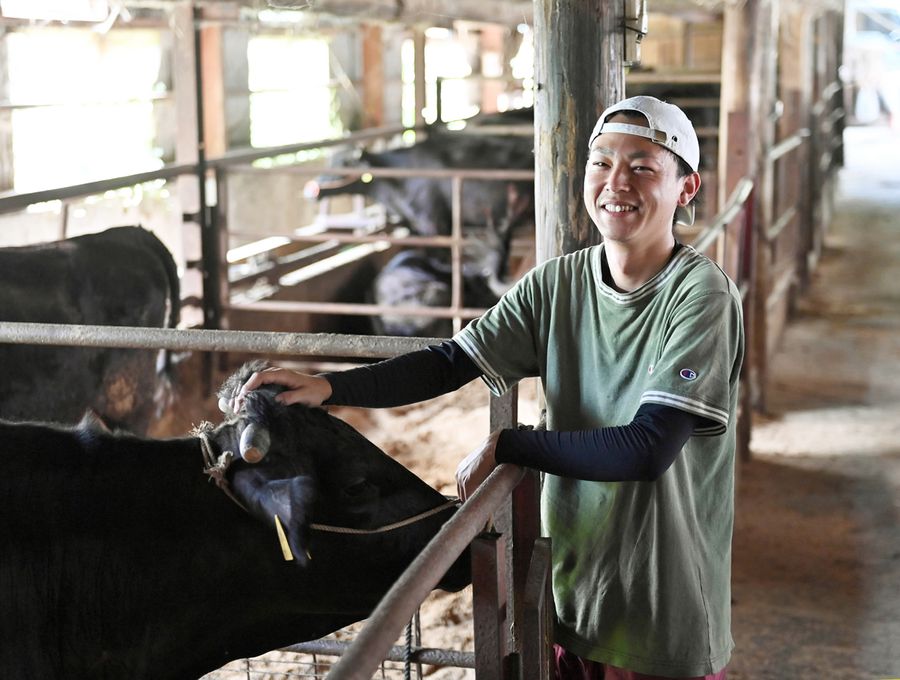  飼育する黒毛和牛の調子を見る東将摩さん。「じい以上の良い牛を育てたい」（四万十町古城）