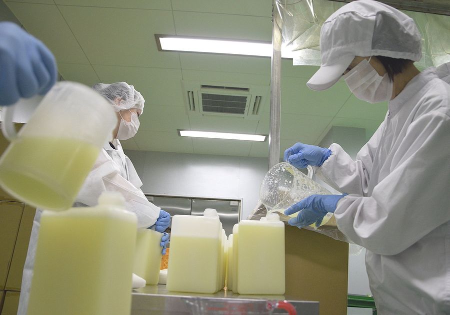 搾った直七の果汁をボトルに詰める「直七生産」のスタッフ。加工場は甘酸っぱい果実の香りに包まれている（宿毛市錦の同社）