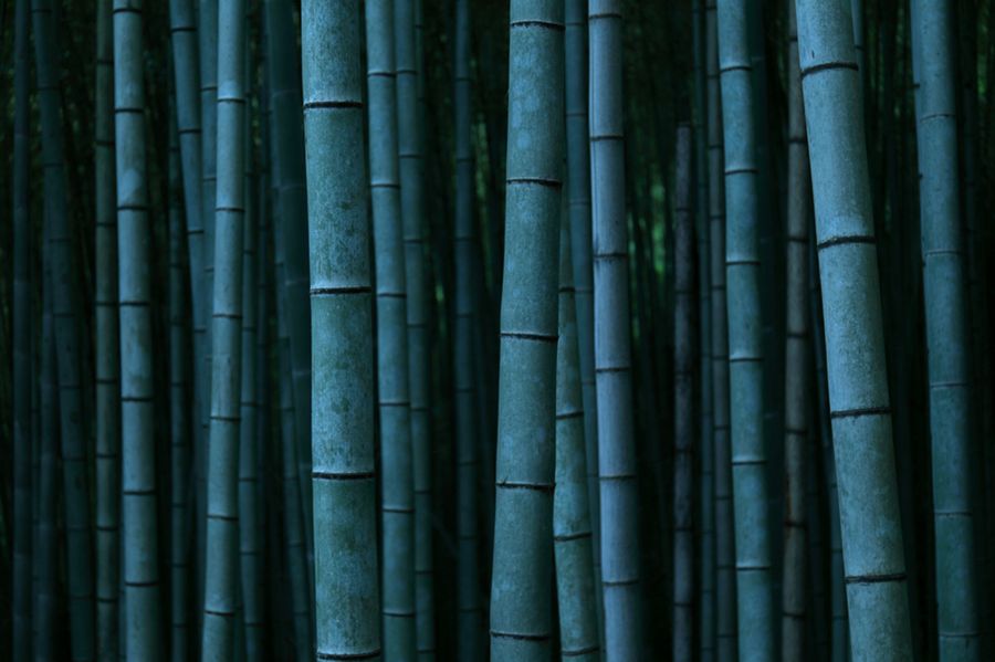 年中、一歩さん自身が近くの山に入り、作品作りに必要な大きさの竹を切ってくる