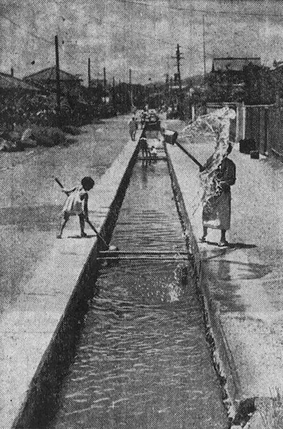 水通町の様子をとらえた１９５５年の本紙