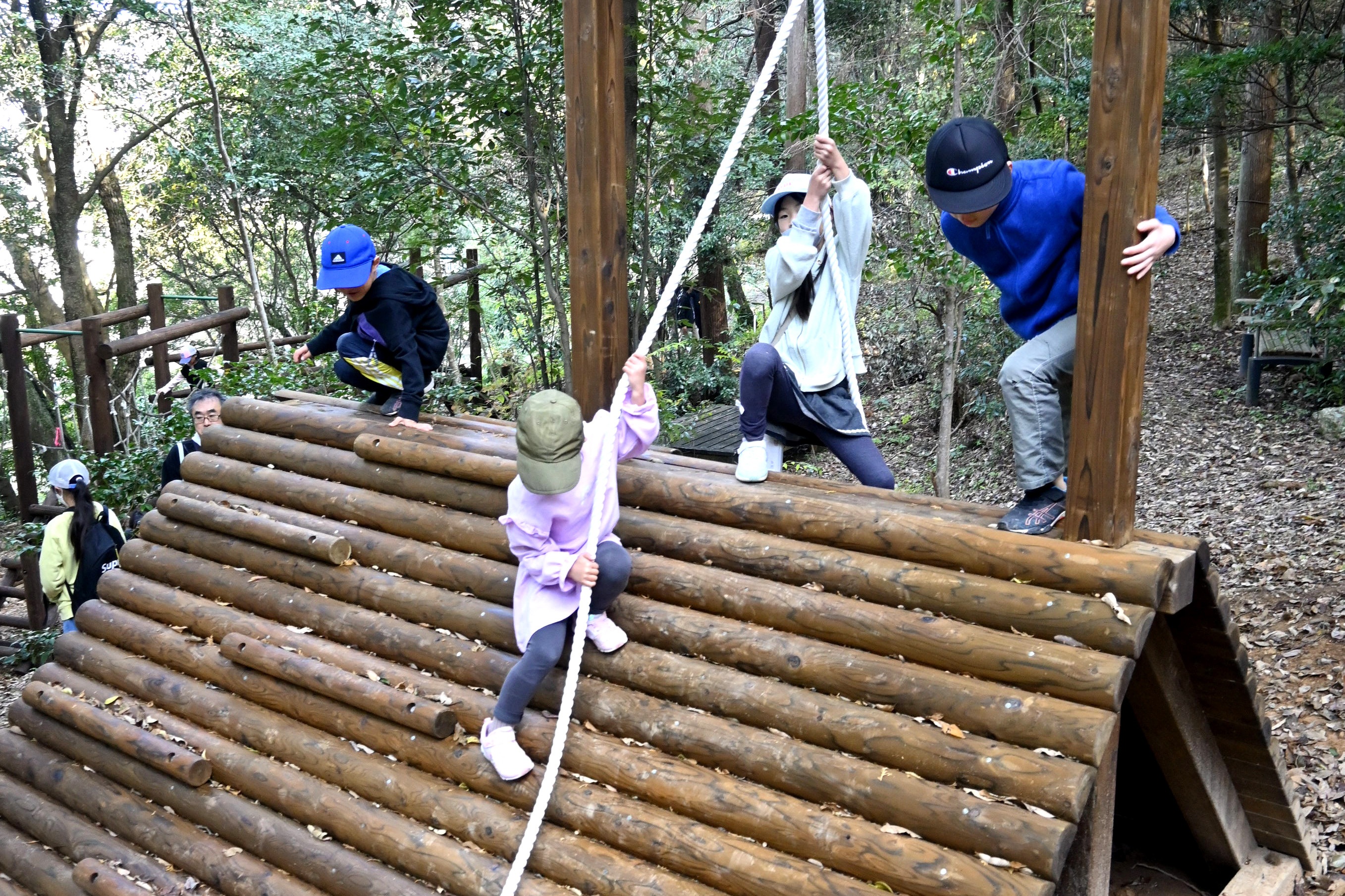 特大 木製臼 古民具 庭園オブジェ 木の大型遊具って楽しい！ 野市町「のいち冒険の森」に新設 高知県香南