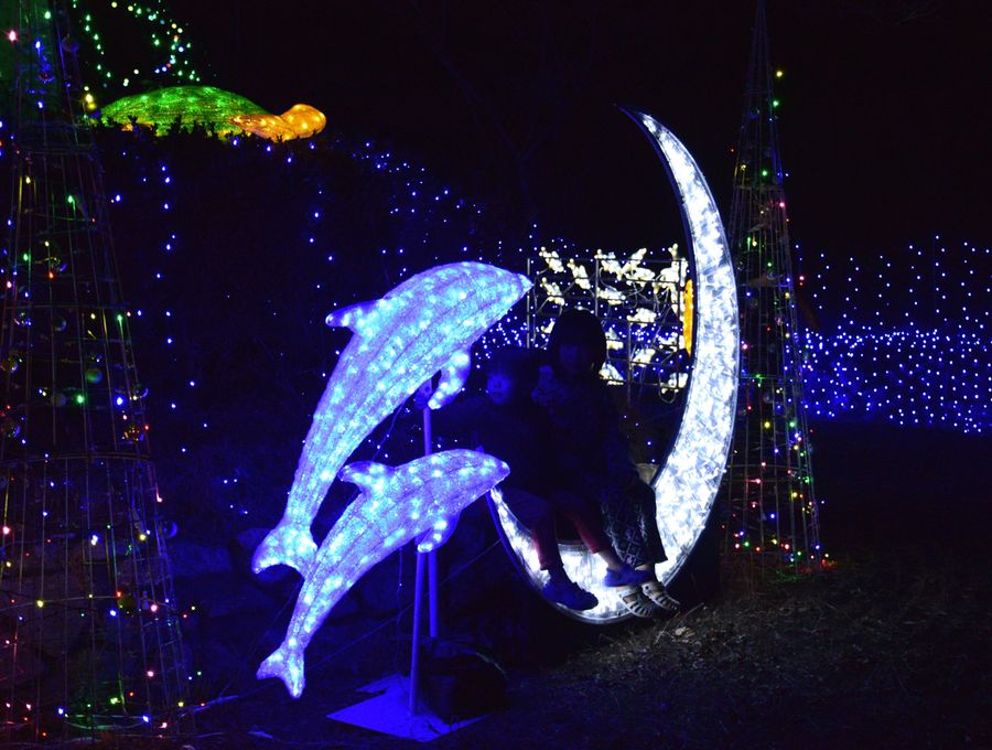 海の中を漂っているような気分が味わえるイルミネーション（大月町の道の駅ふれあいパーク大月）