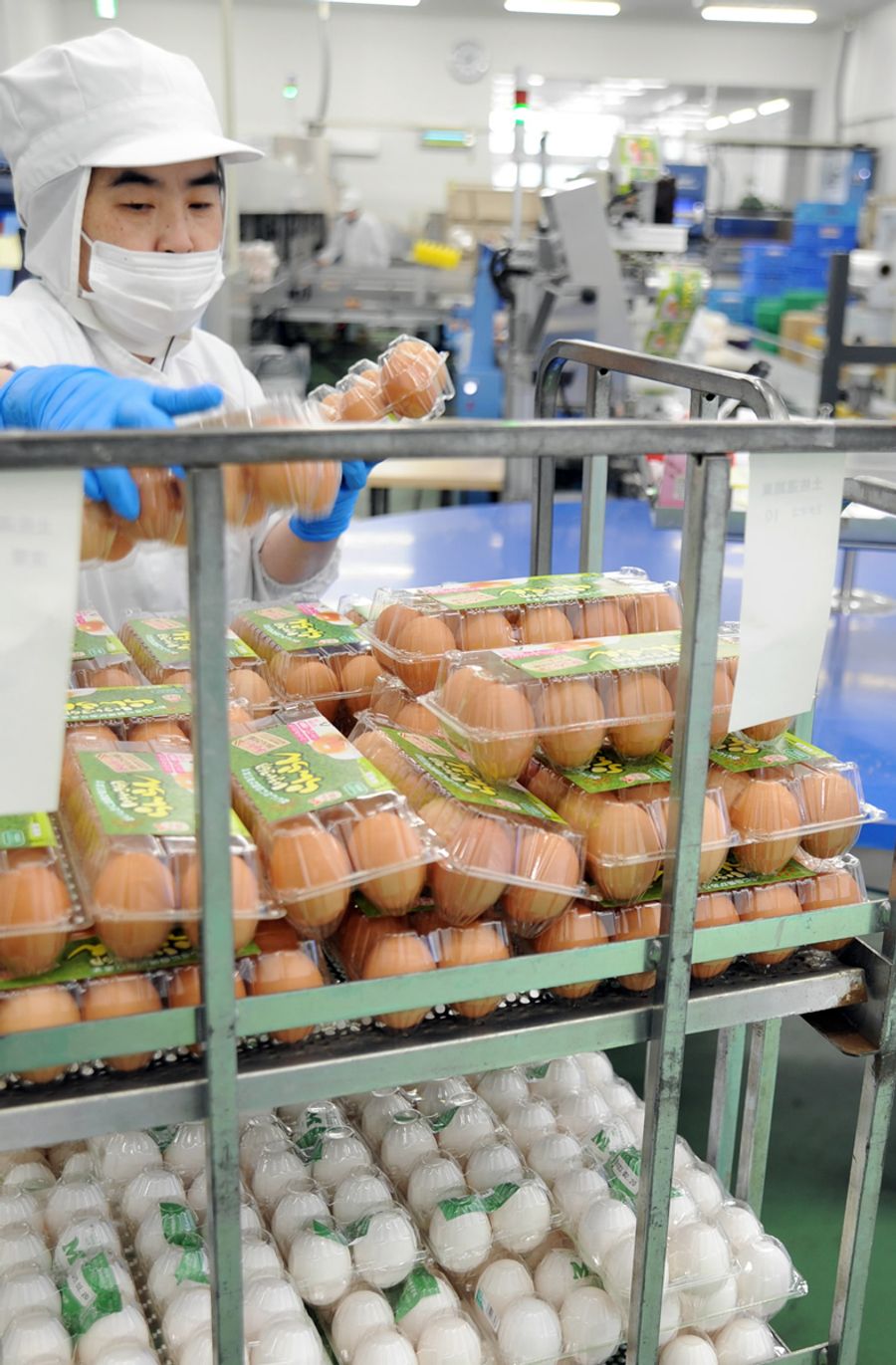 【４位　物価高止まらず】食料、生活用品、燃料代…。今年も物価高が庶民の暮らしを圧迫し続けた（２月６日、いの町枝川の高知食糧たまごセンター）