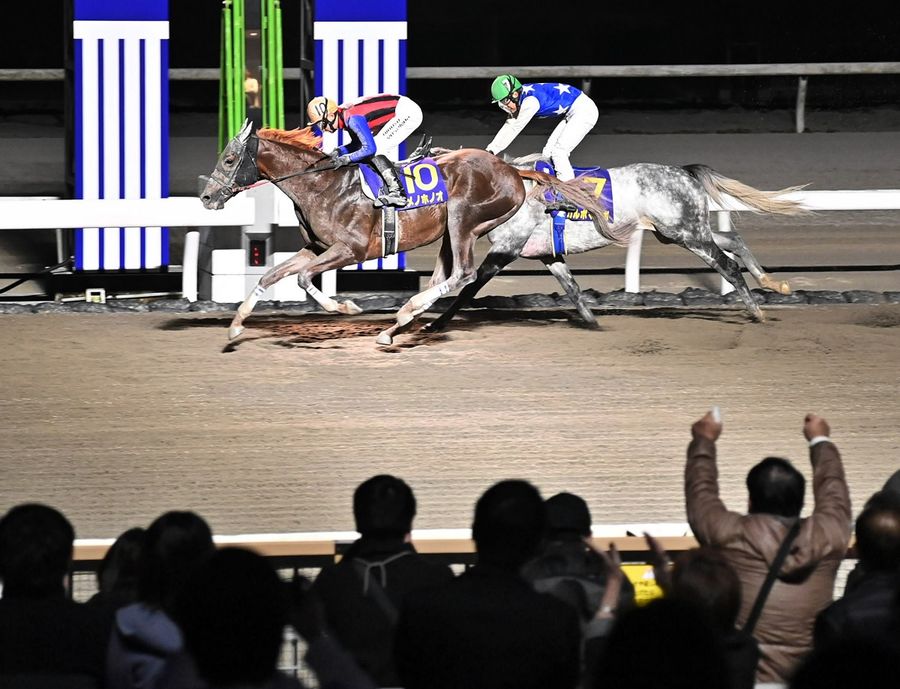 県知事賞で優勝したユメノホノオ（高知競馬場＝森本敦士撮影）
