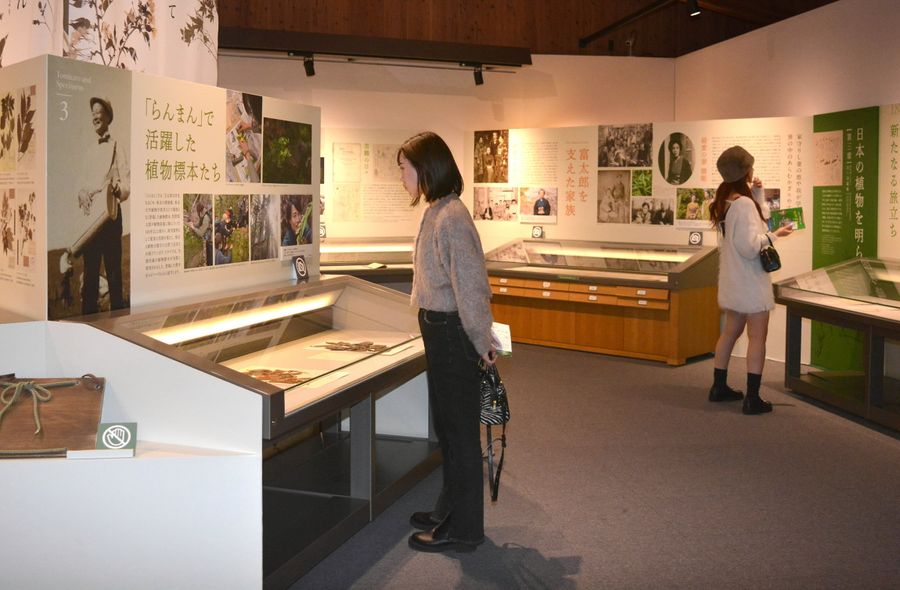 朝ドラ「らんまん」の場面とともに牧野博士の生涯を紹介する企画展「牧野富太郎物語」（写真はいずれも高知市の県立牧野植物園）