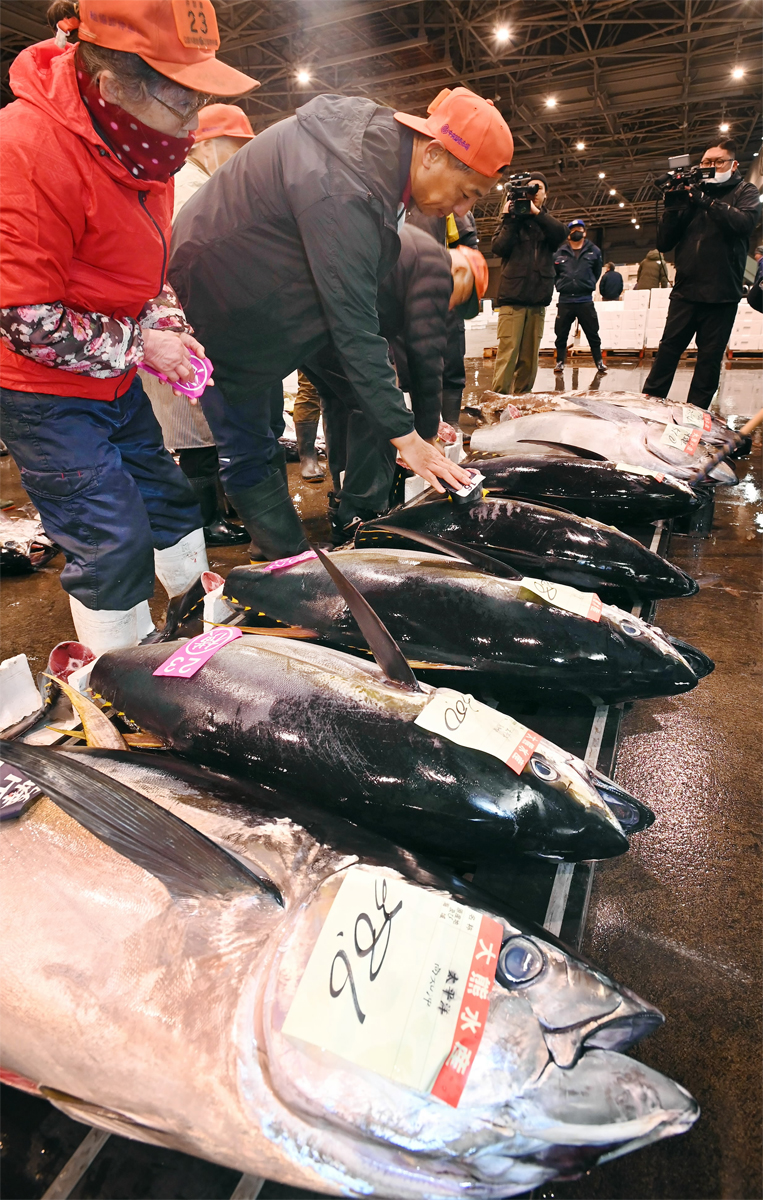 初競り 繁盛の期待込め「はい、いくかえっ」 高知市卸売市場 | 高知新聞