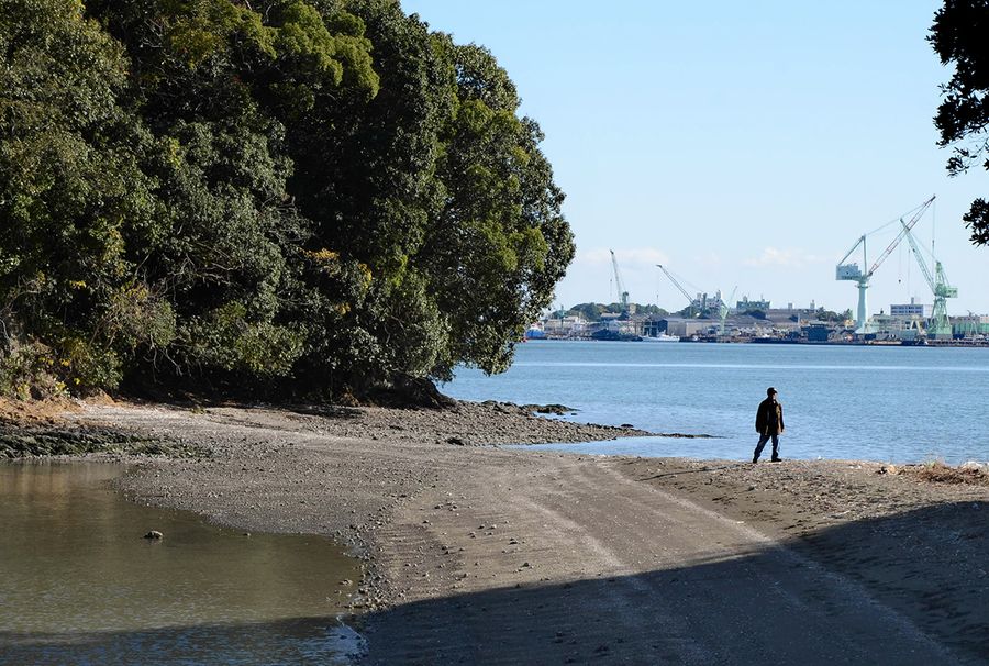 干潮時に歩いて渡れる衣ケ島（写真はいずれも高知市横浜東町）