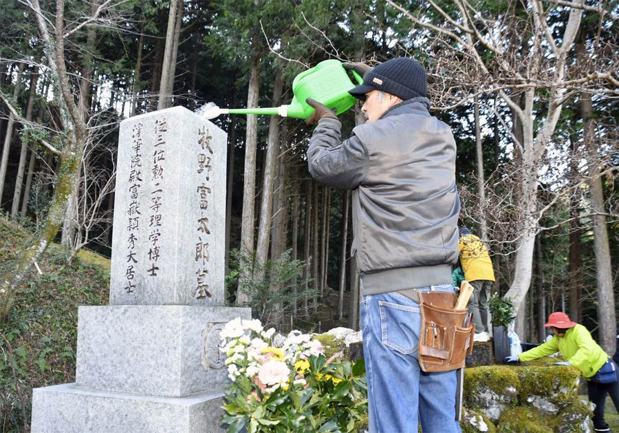 牧野富太郎博士の墓を清掃する住民たち（佐川町の牧野公園）