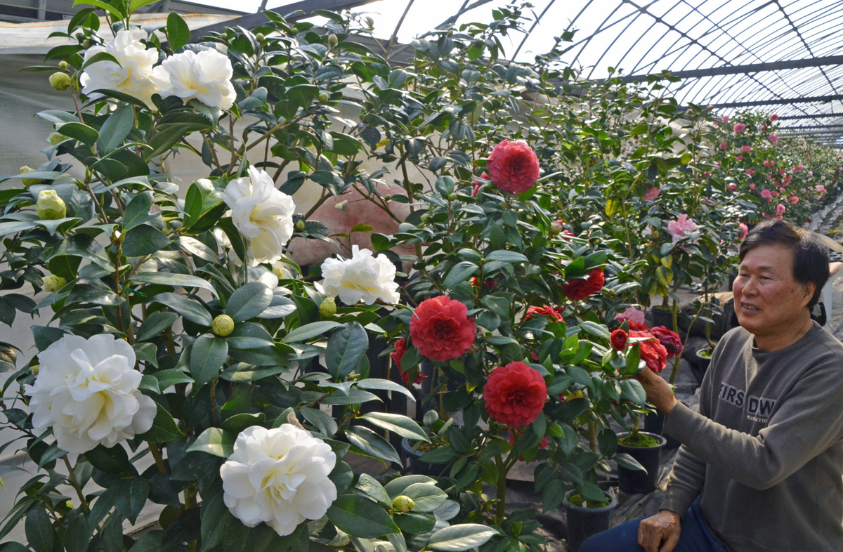 main_7cf9bb10bf0756351eb99da36