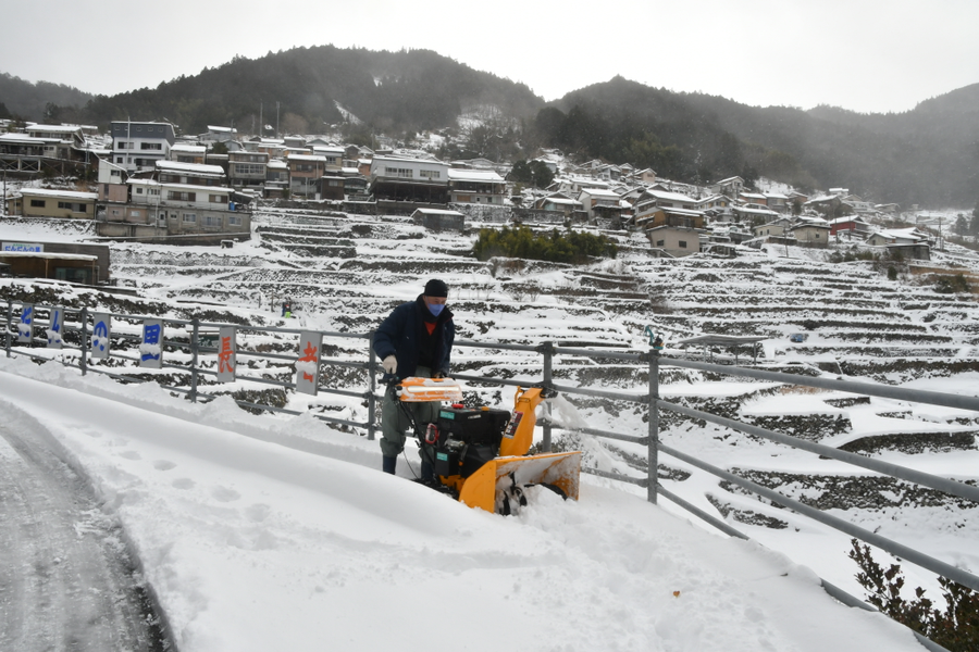 仁淀川町の段々畑も真っ白に（２４日午前１０時５０分ごろ、同町長者乙）