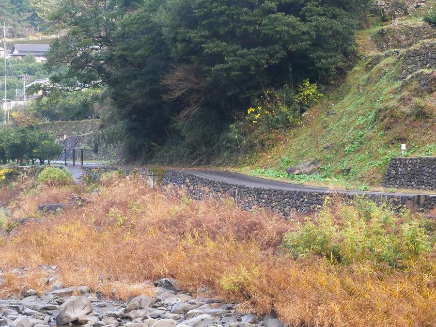 東谷さんがこだわった安田川沿いの石垣道(馬路村)
