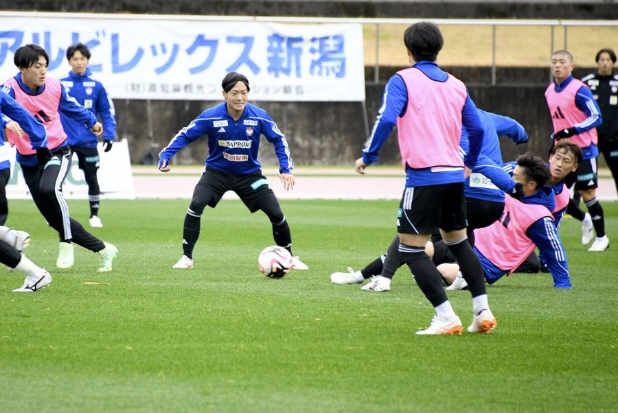 １６年連続で春野入りしたＪ１新潟イレブン。青々としたピッチの上で実戦練習に取り組んでいる（春野陸上競技場）