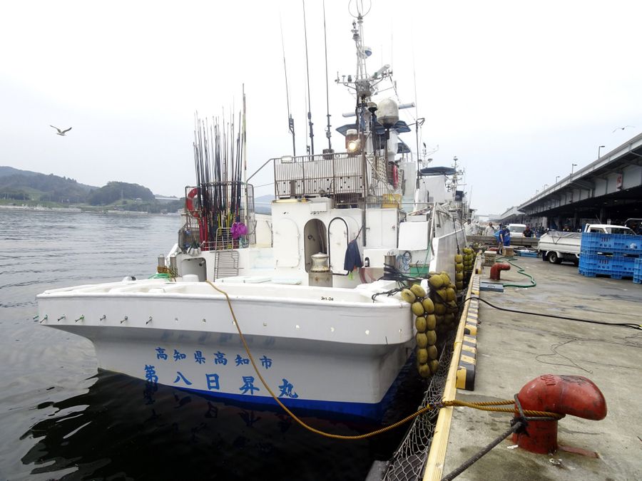 新船に置き換わる予定の近海一本釣り船「第８日昇丸」の出漁（昨年３月、土佐清水市）