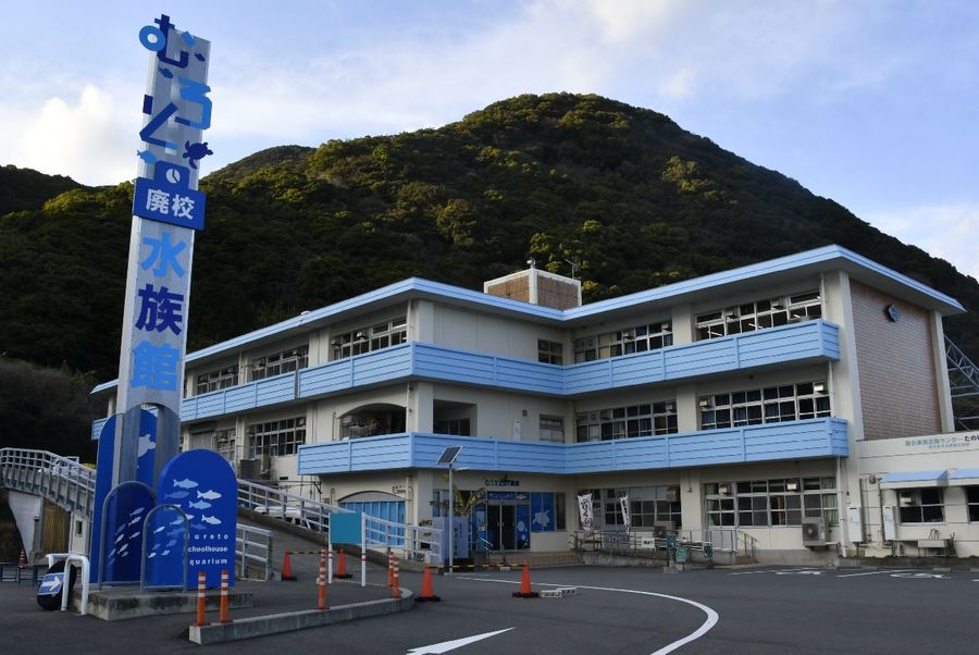 博物館に登録されたむろと廃校水族館（室戸市室戸岬町）