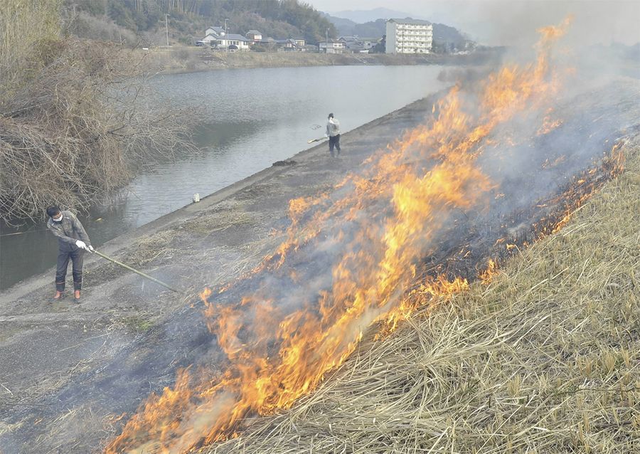 バチバチと音を立て勢いよく燃える枯れ草（南国市岡豊町常通寺島の国分川沿い）