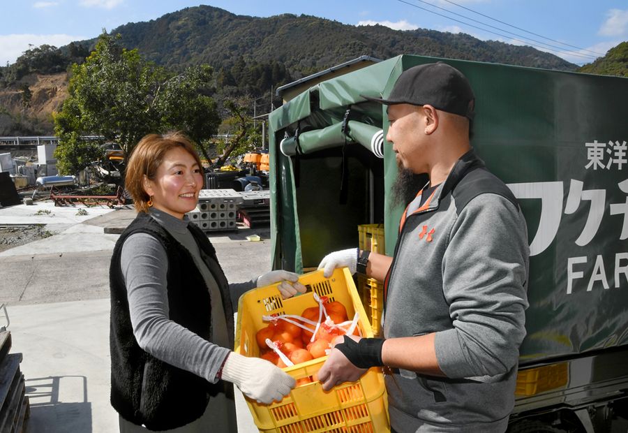 ポンカンの出荷に取り組む移住者の中川じゅんさん＝左。「いつかは起業して町に人を呼び込みたい」（東洋町河内）