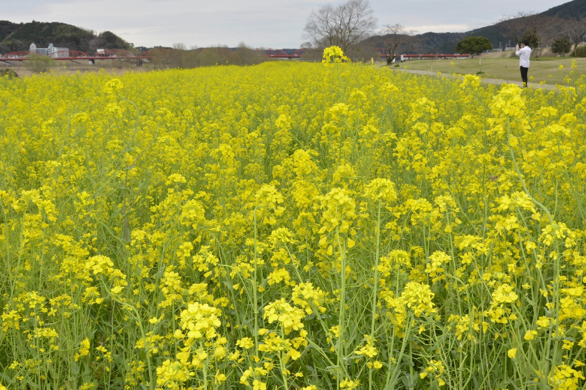 main_086c93b81fc26fb67ece3354b