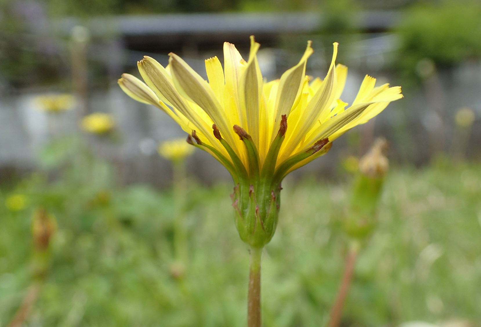 main_cea6e07d3088627fcacc7a402