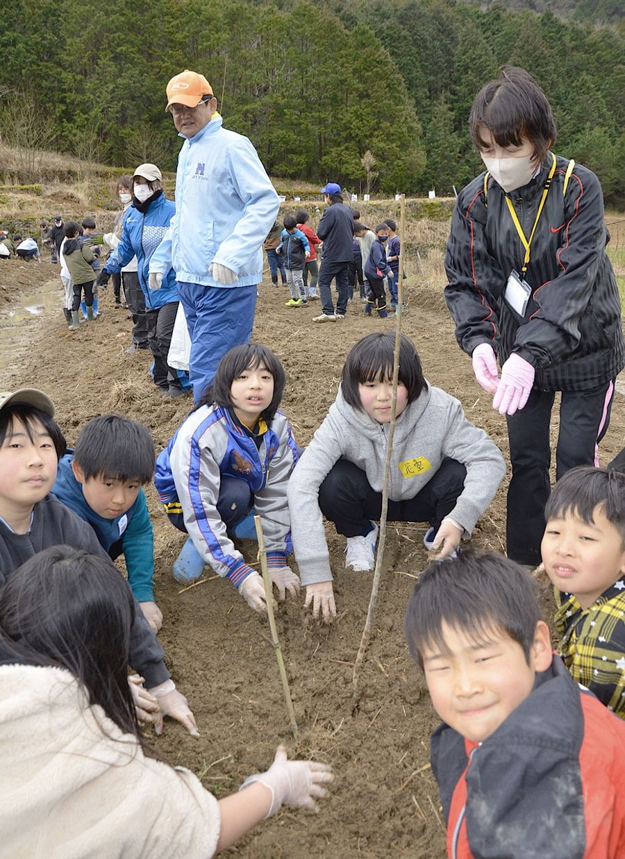 クリの苗木を植える昭和、十川両小学校の児童たち(四万十町大井川)
