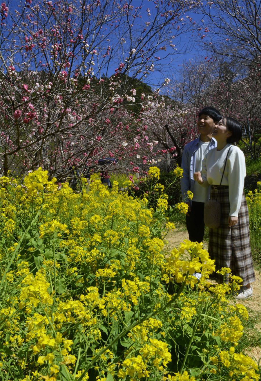 園内を散策するカップル（香南市の西川花公園）
