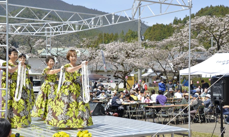 大勢の人が桜とダンスショーなどを楽しんだ観光開き（馬路村の魚梁瀬丸山公園）