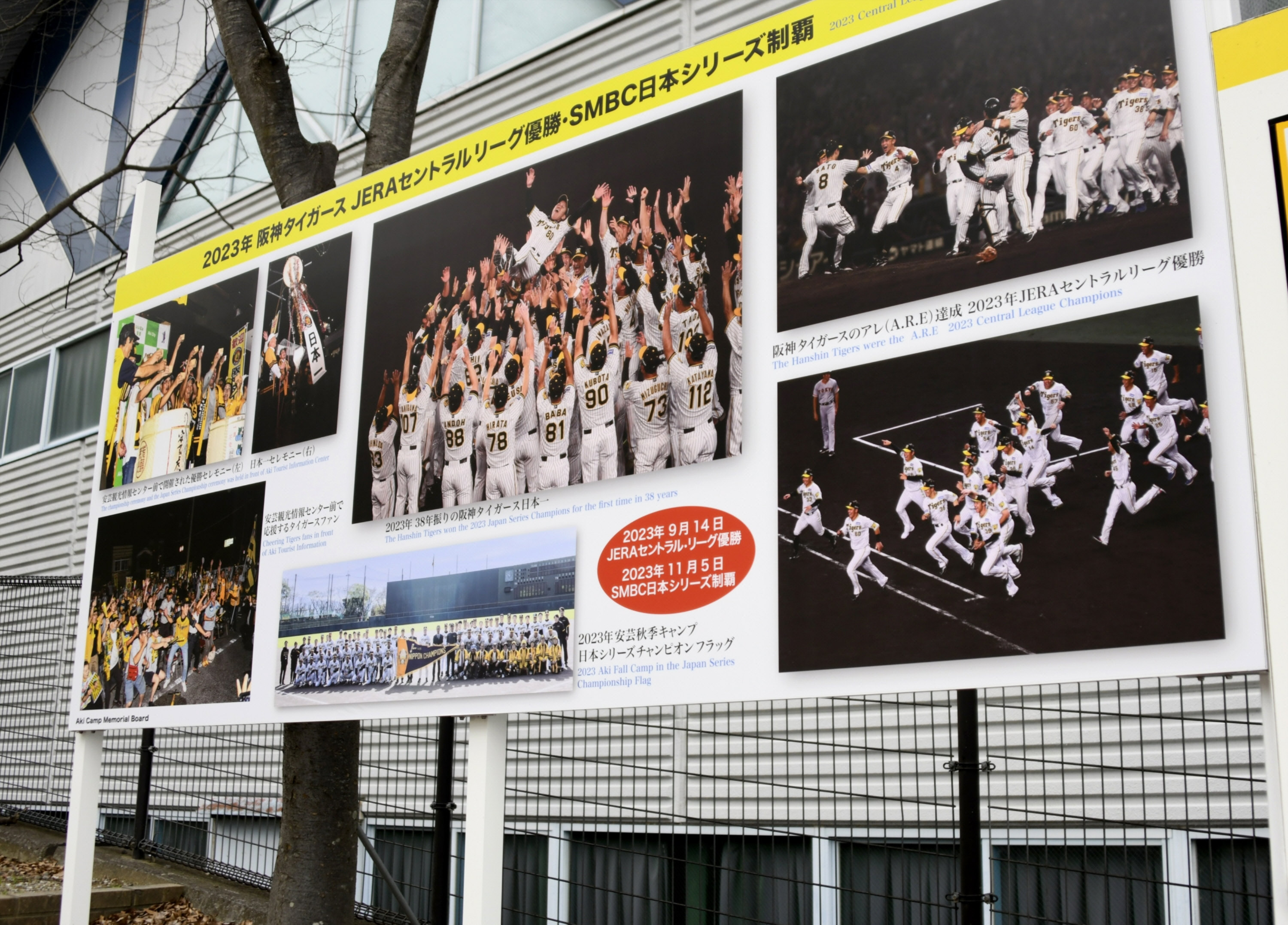 阪神タイガース 安芸キャンプ記念ボール 【公式通販】