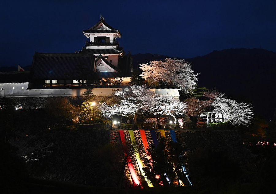 花と光でお城を彩る「高知城花回廊」（森本敦士撮影）