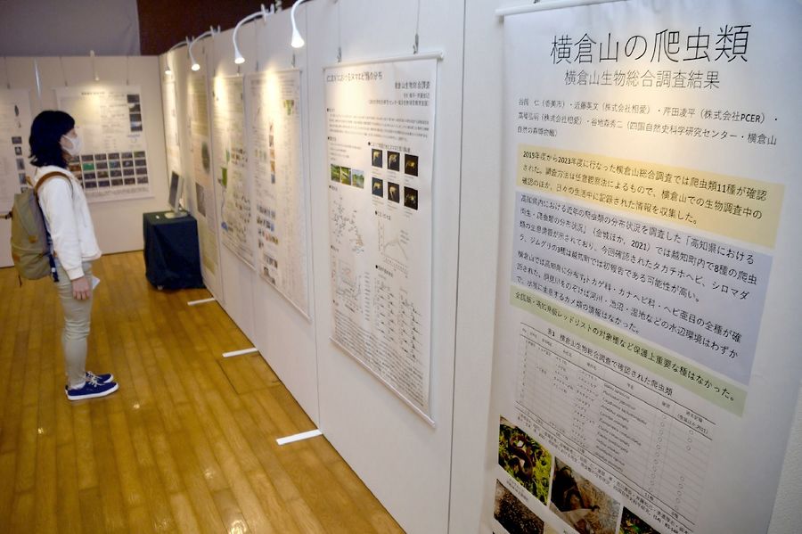 横倉山周辺に生息する生物の調査結果を紹介摺る企画展（越知町の横倉山自然の森博物館）