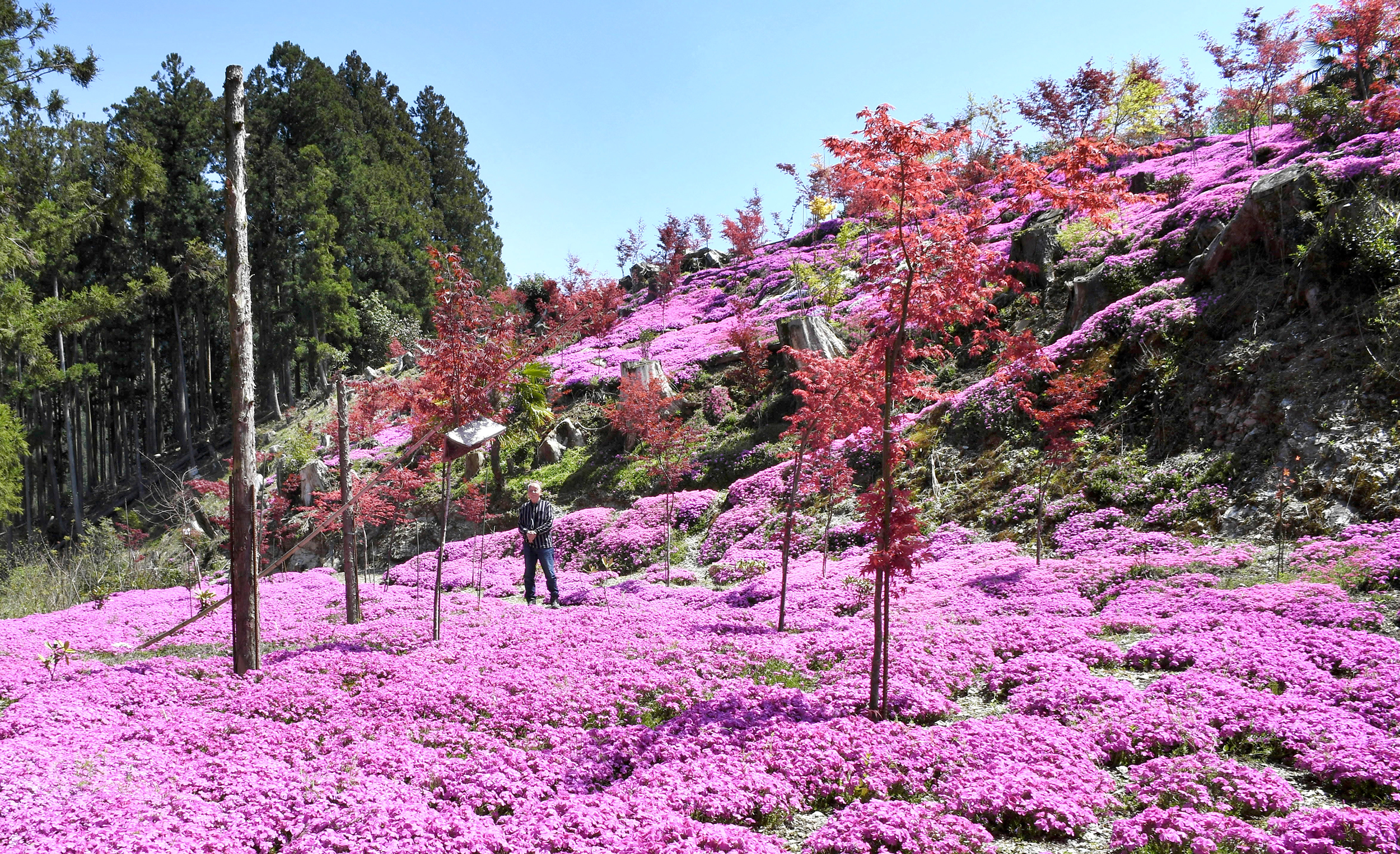 main_461ee9e45b9551ec02859dc35