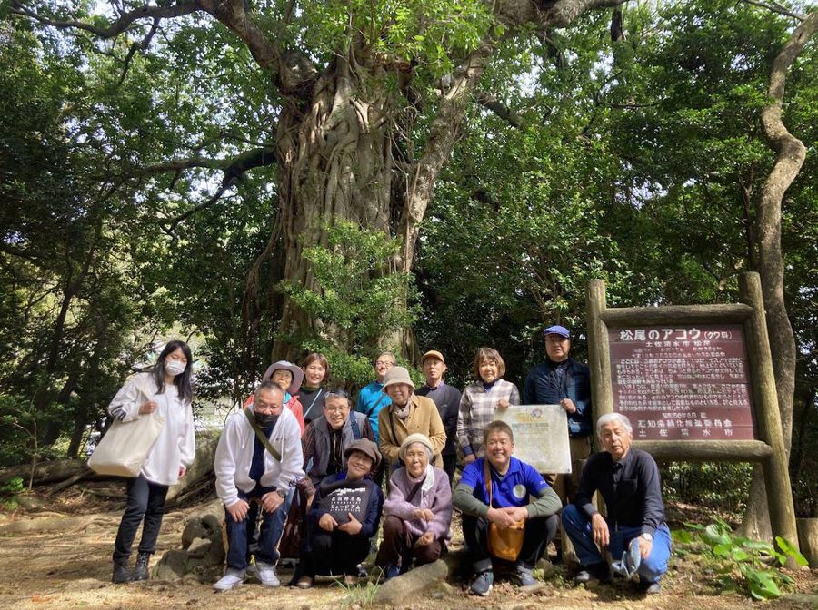国の天然記念物「松尾のアコウ」を見学に来た佐田岬半島ミュージアムの関係者（土佐清水市松尾＝土佐清水ジオパーク推進協議会提供）