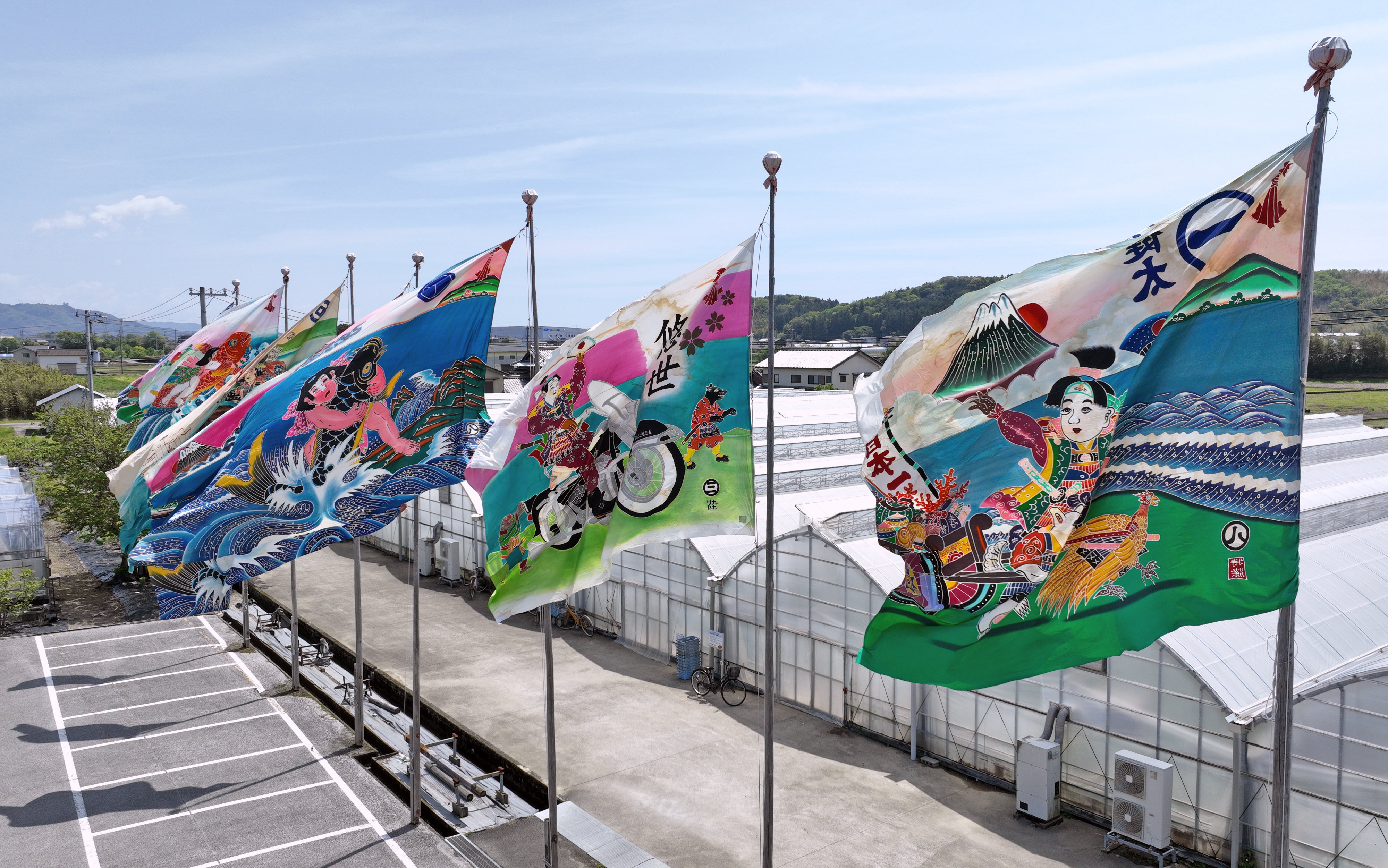 フラフ鮮やか、初夏の風に舞う 高知県南国市の西島園芸団地 | 高知新聞