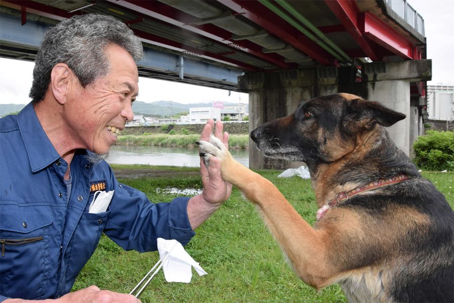 お気に入りの訓練場所で、指導役の福留建二郎さんとハイタッチする南風（高知市鴨部１丁目）