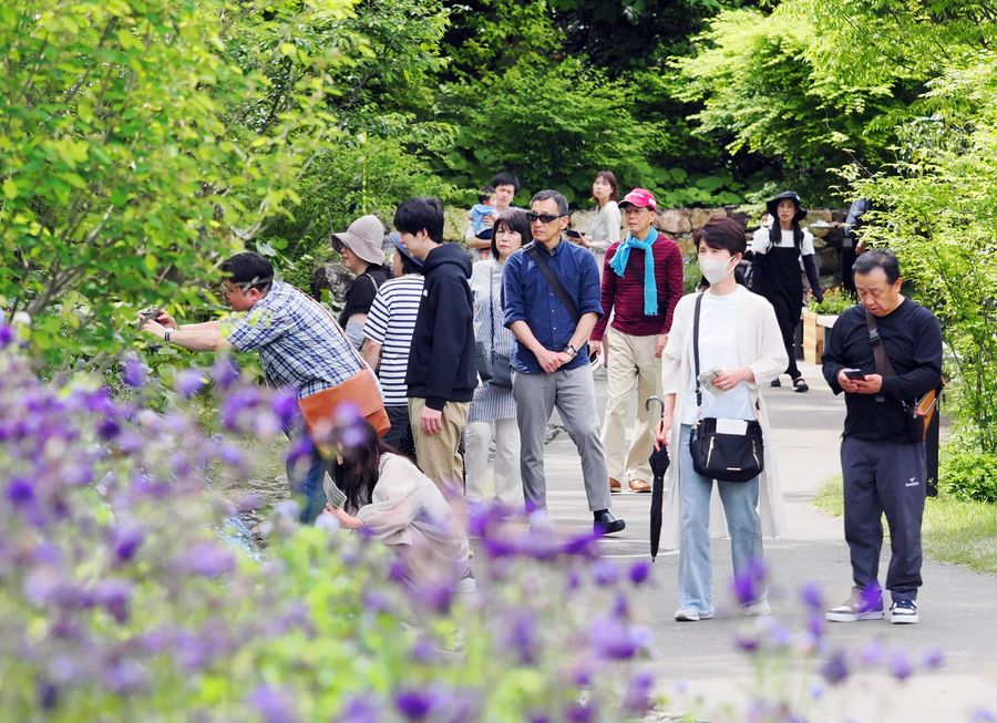県立牧野植物園を散策する大勢の観光客（４月２８日、高知市五台山＝森本敦士撮影）