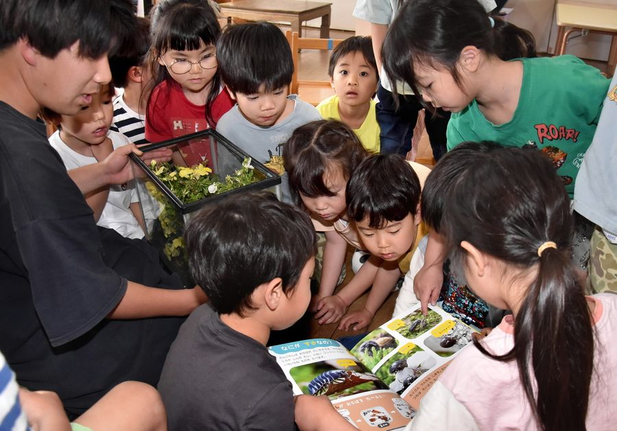 イエナプラン教育を実践している桜井幼稚園（高知市桜井町１丁目）