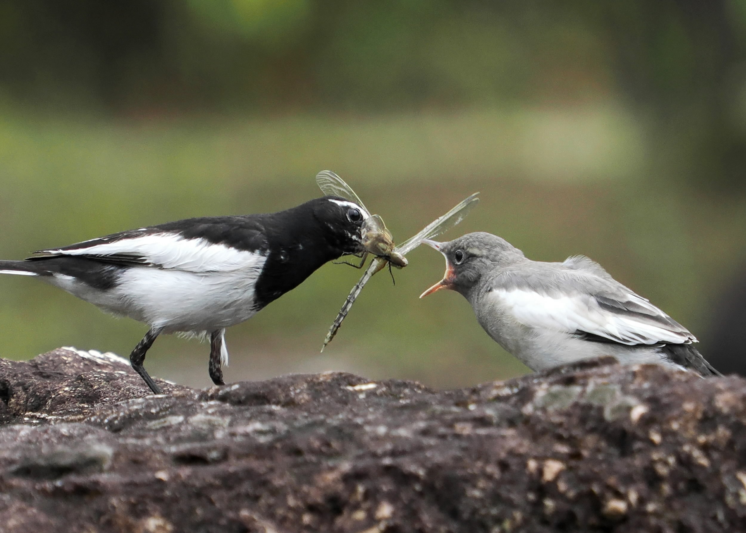 main_3c58191cc195681c40c0715a4