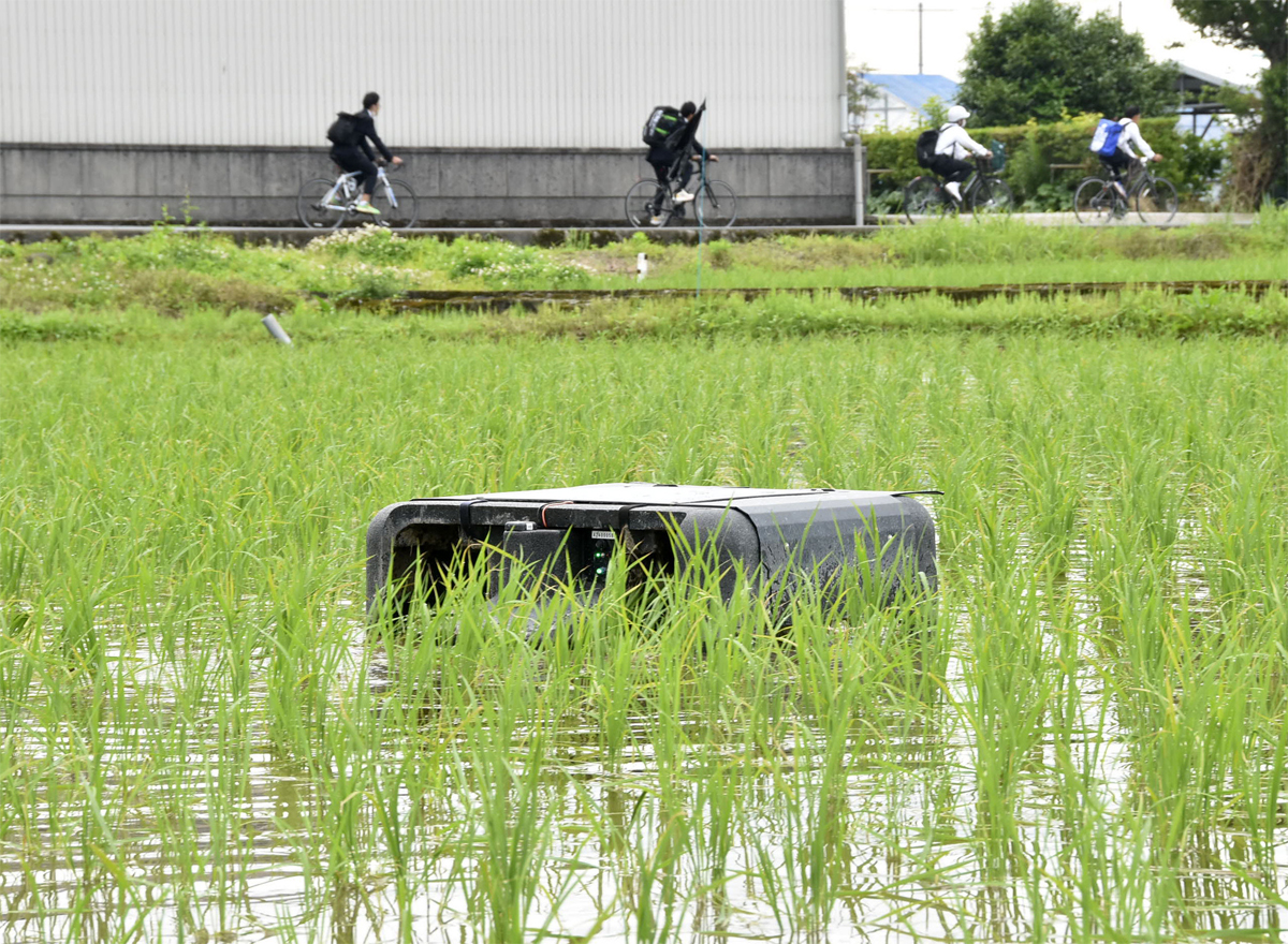 巨大なカメ？ メカです！ 水田をぷかぷかうろうろ 南国市で全自動除草