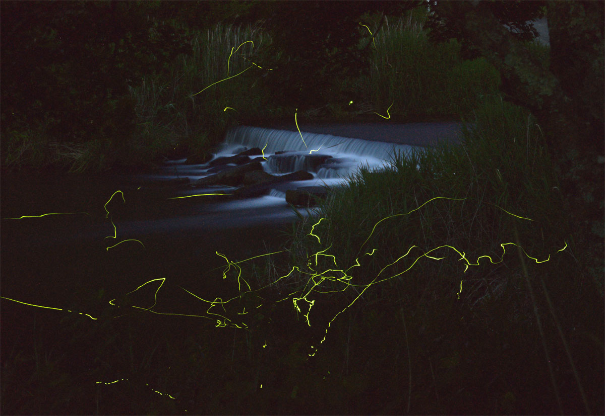 main_9a69b9343369c47e060a3f36c