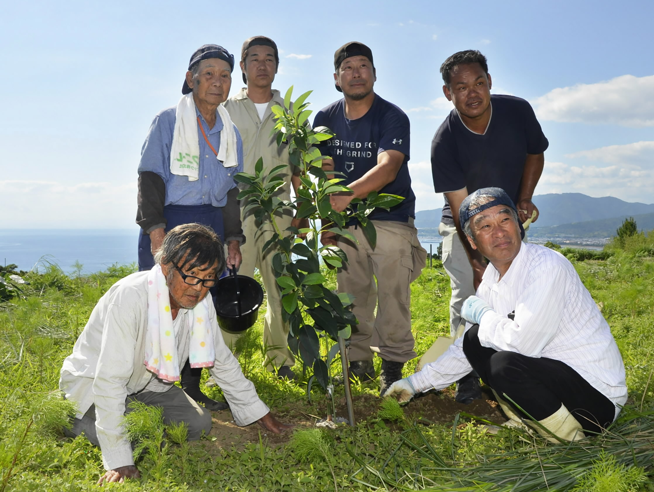 奈半利をアボカドの産地に！ 農家ら苗木を定植 4年後の収穫目指す