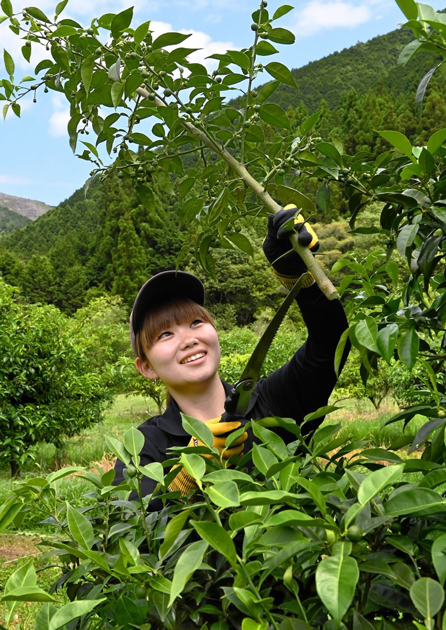 「植物って正直。手間をかけた分だけ応えてくれる、はず」と、果樹を剪定する山田心さん(三原村上長谷)
