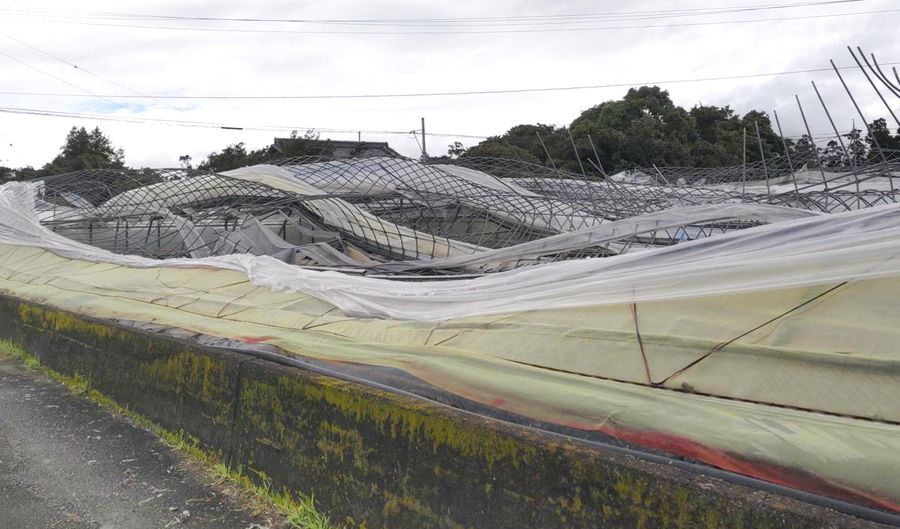 ビニールハウスも被害を受けた（１８日午前、田野町）
