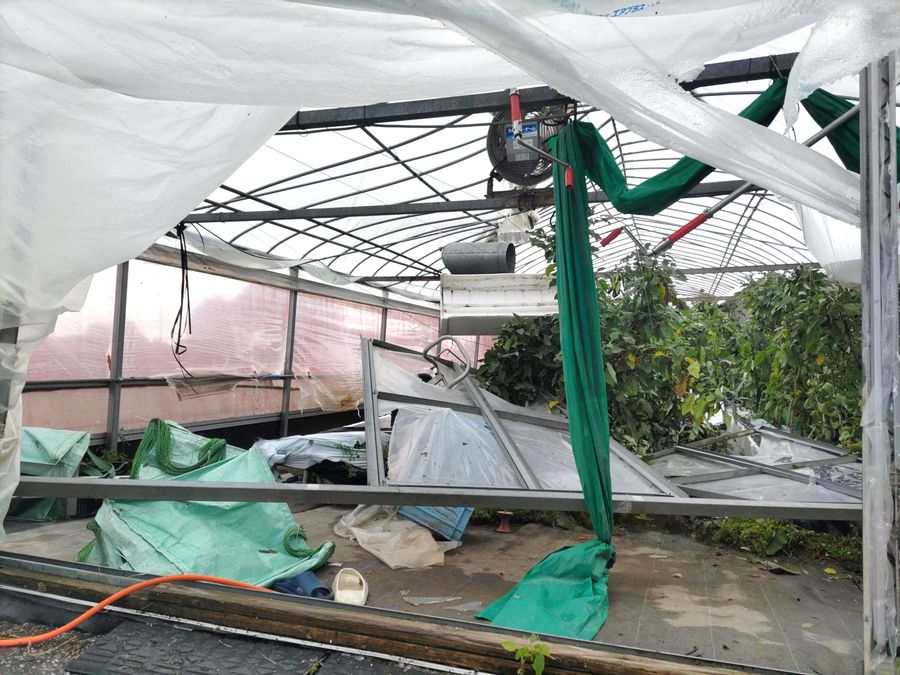 ビニールハウスも被害を受けた（１８日午前、田野町）